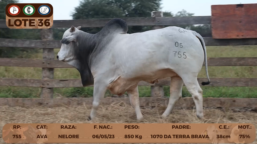 Lote LOTE 36- RESERVA DE CABAÑA