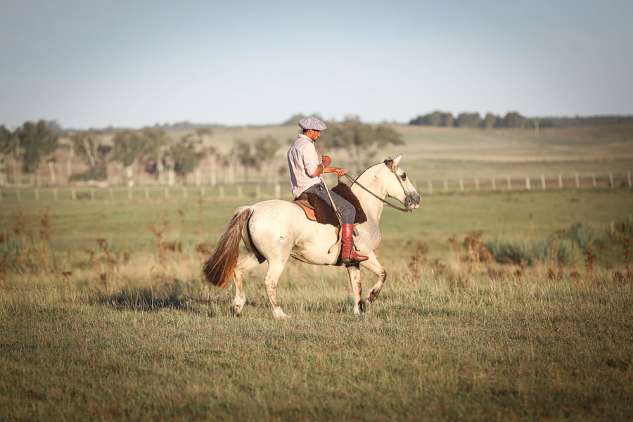 Lote Guasquero Del Chafalote