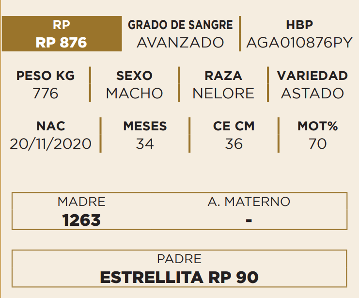 Lote LOTE 49