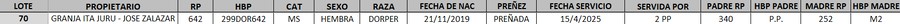 Lote LOTE 70