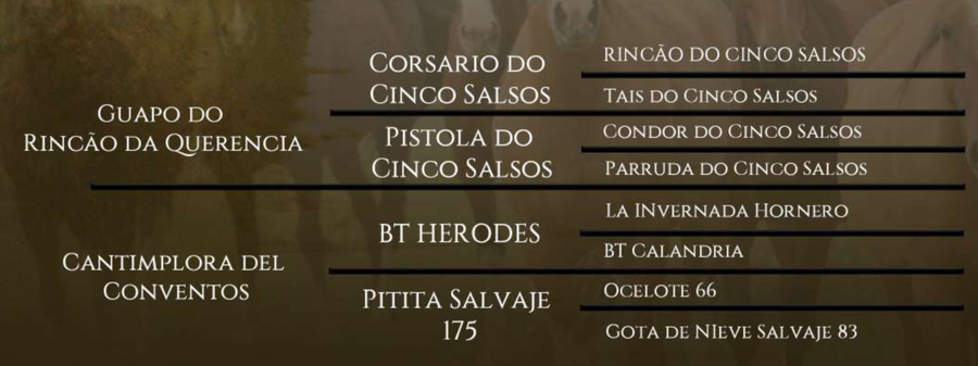 Lote Damajuana del Conventos