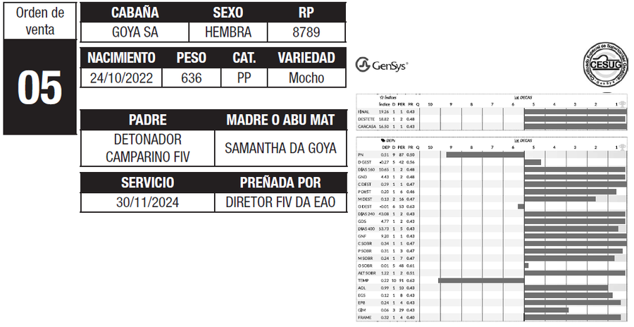 Lote LOTE 5