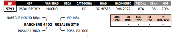Lote LOTE 53