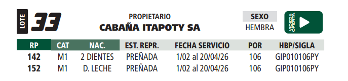 Lote LOTE 33