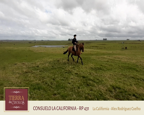 Lote Consuelo La California (RP 431) - Cabaña La California