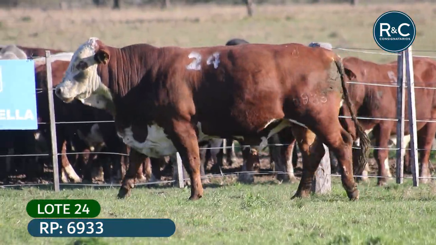 Lote Toros señal 22