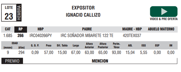 Lote LOTE 23