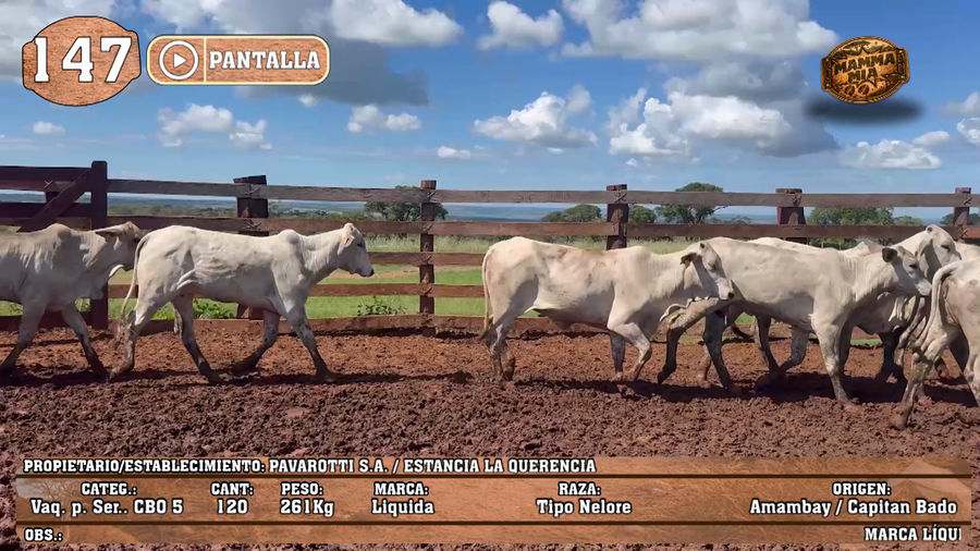 Lote LOTE 147 - PANTALLA