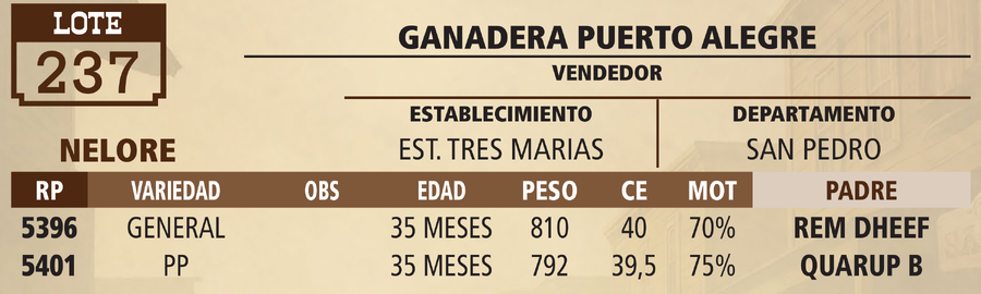Lote LOTE 237 - VIVO