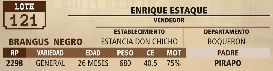 Lote LOTE 121 - VIVO