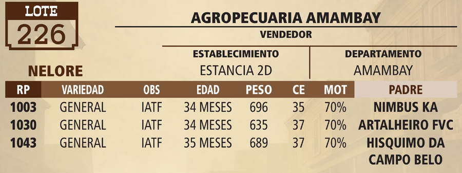 Lote LOTE 226 - VIVO