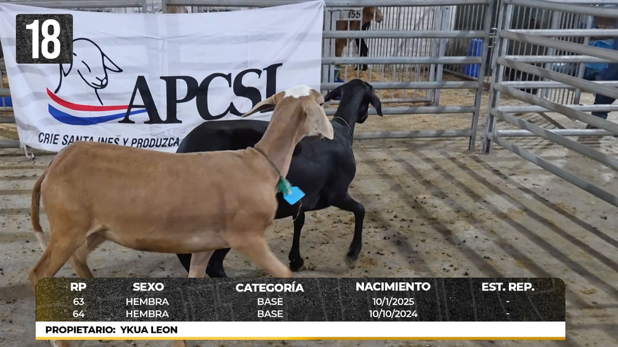 Lote LOTE 18