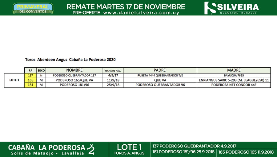 Lote Cabaña La Poderosa