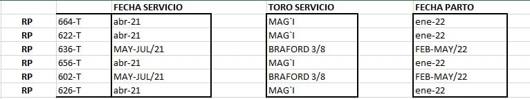 Lote VAQUILLONA PREÑADAS CORRAL 76