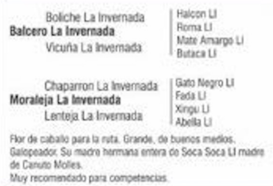 Lote JILGUERO DEL QUEBRACHAL