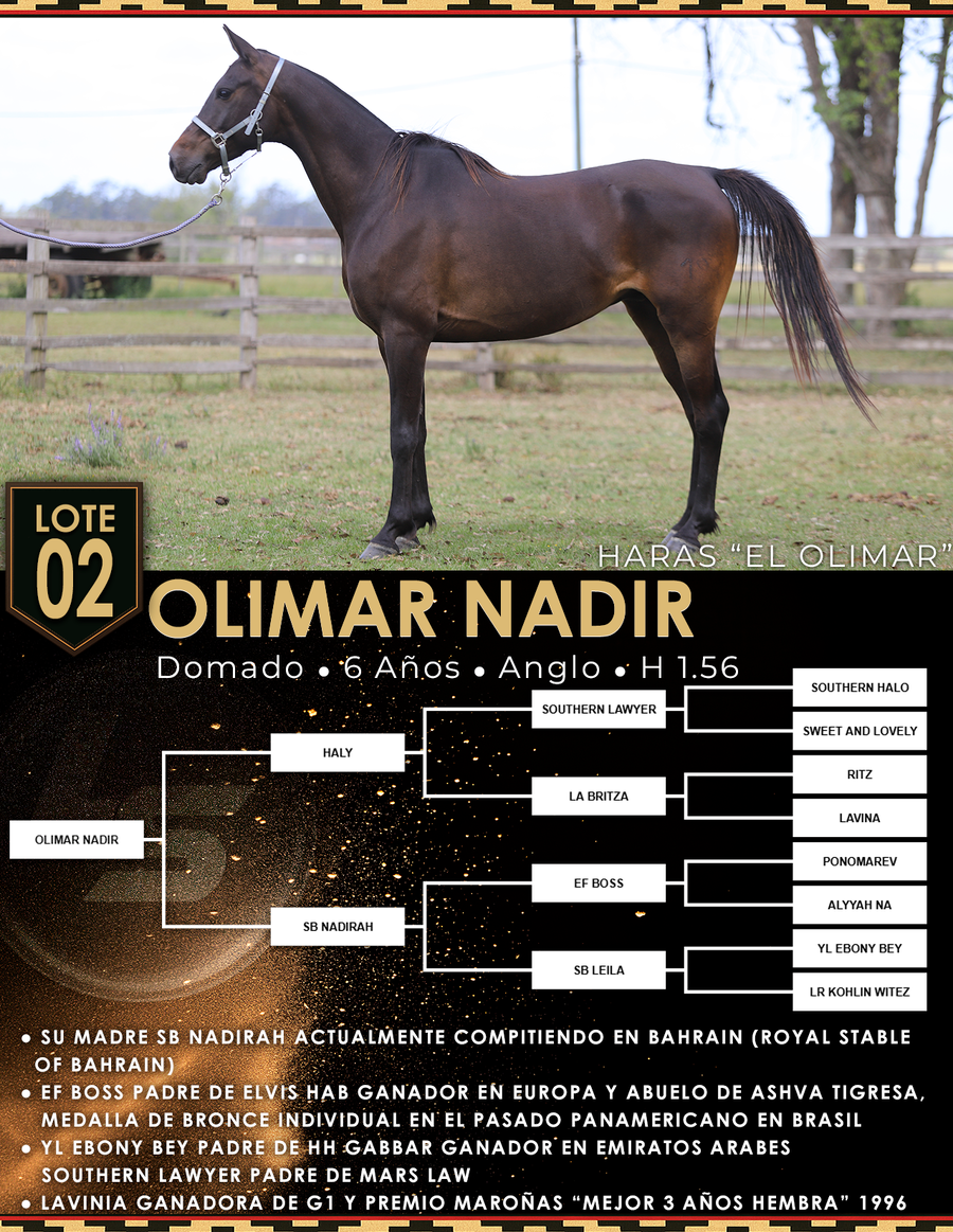 Lote OLIMAR NADIR