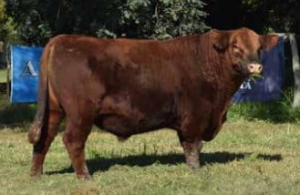 Lote CABAÑA "COEMBOTA" DE CALDERÓN RP 107