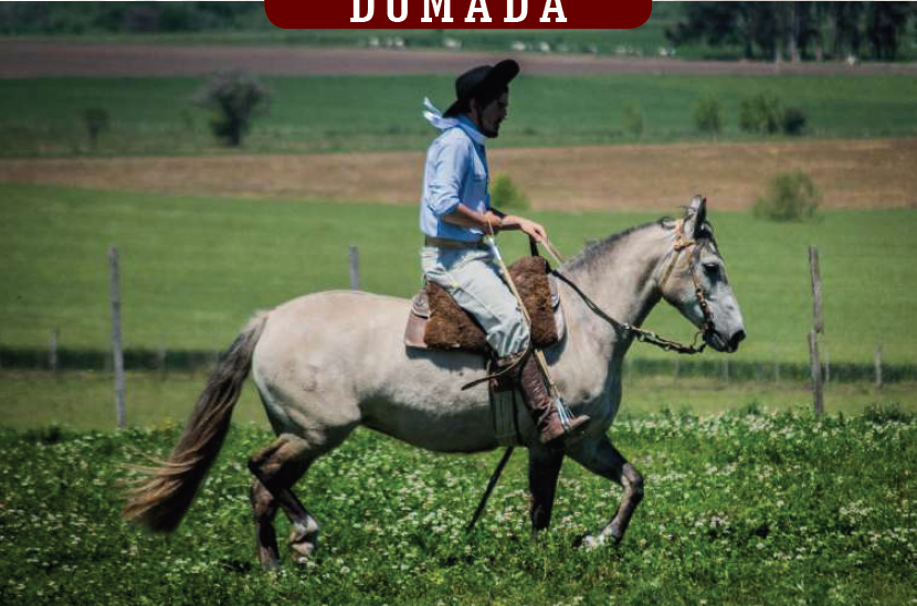 Lote YÚBELY GICHONA