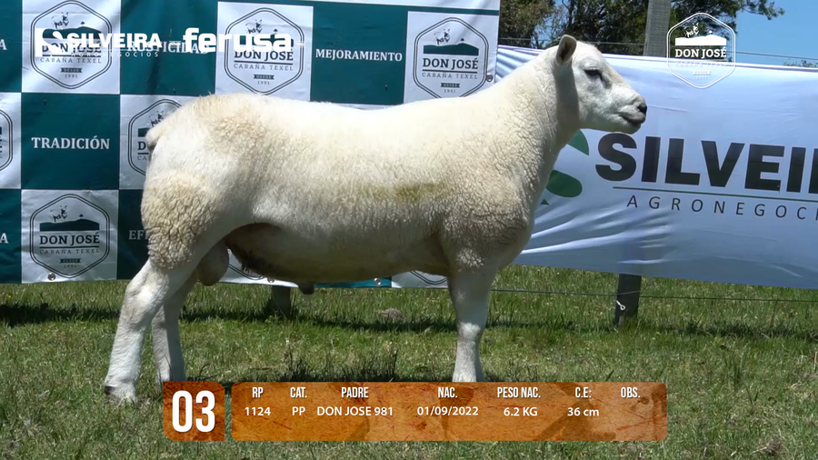Lote LOTE 3 MACHO