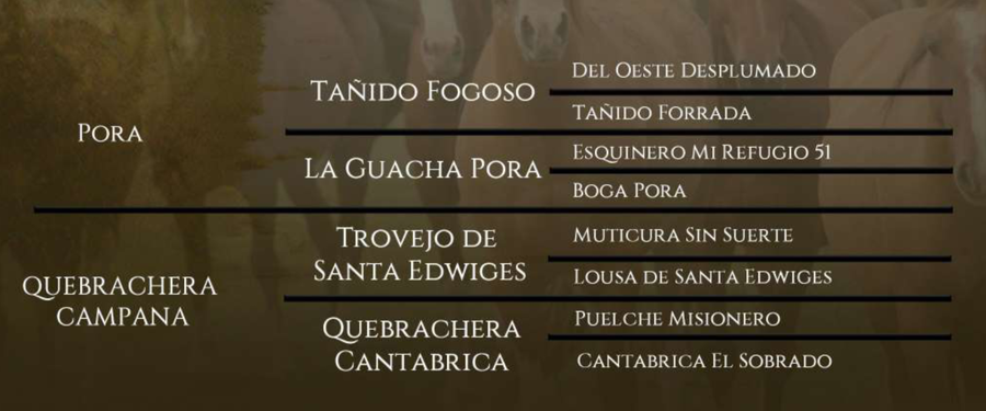 Lote Santa Gloria Riojana