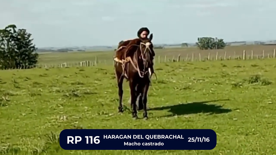 Lote HARAGAN DEL QUEBRACHAL