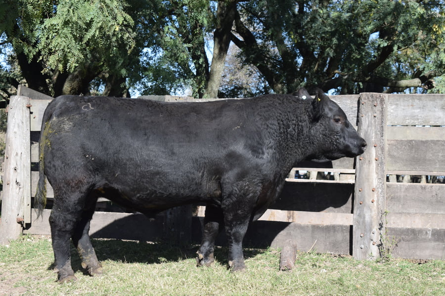 Lote CABAÑA “COEMBOTÁ” de Calderón RP 103