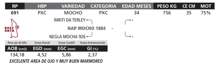 Lote LOTE 28