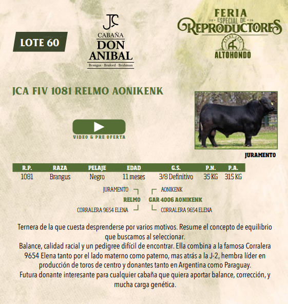 Lote LOTE 60