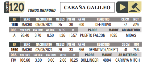 Lote LOTE 120