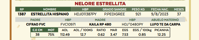 Lote LOTE 69