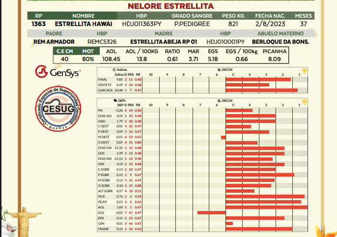Lote LOTE 58