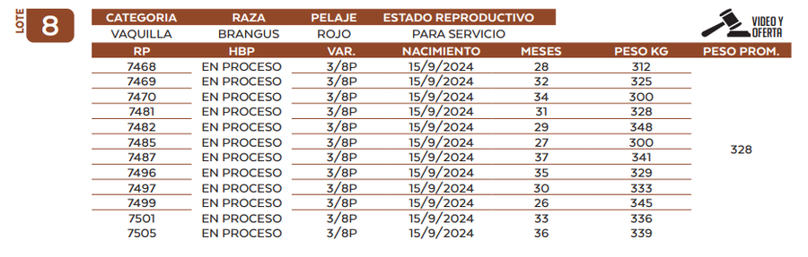 Lote LOTE 8