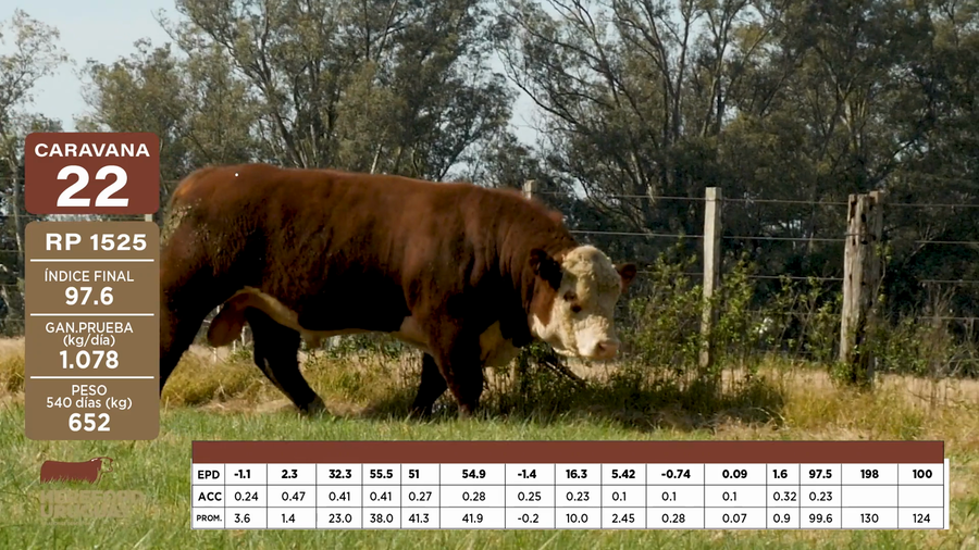 Lote Caravana 22 "RINCON DE FRANCIA"