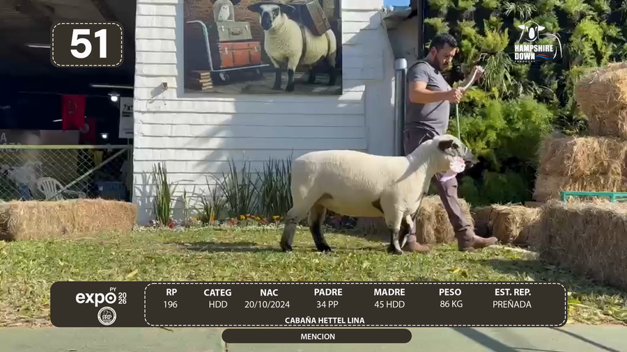 Lote LOTE 51 - BOZAL