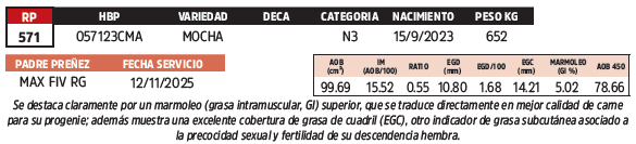 Lote LOTE 72