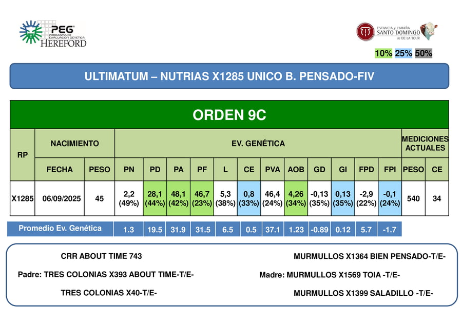 Lote ORDEN 9 TERNEROS PP
