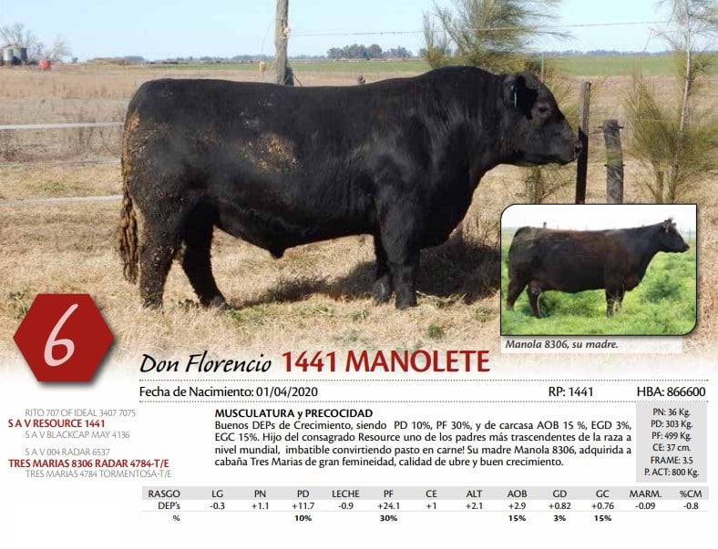 Lote TORO