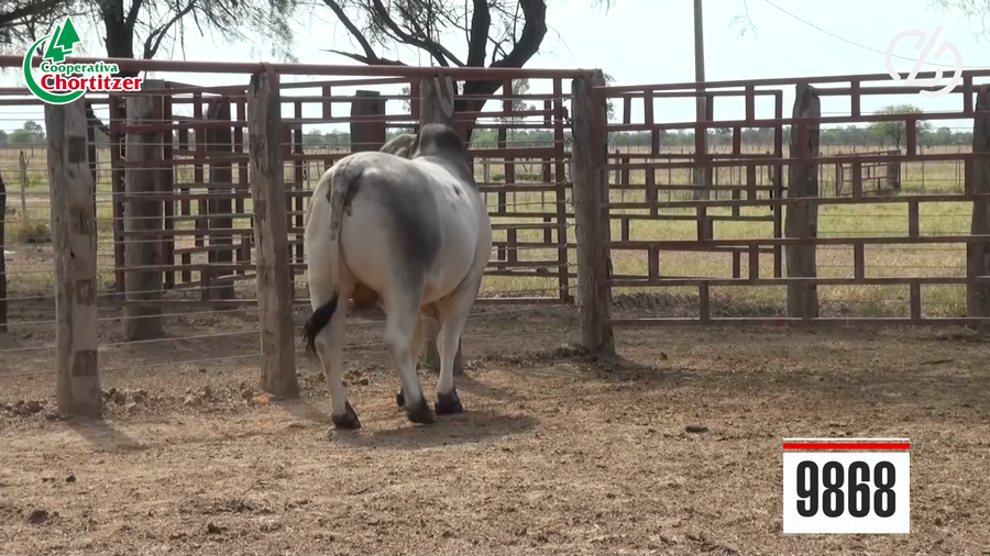 Lote Brahman