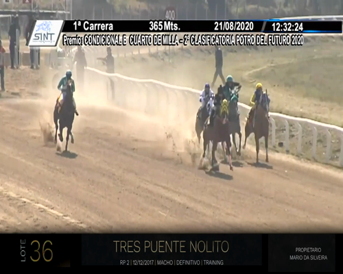Lote TRES PUENTE NOLITO