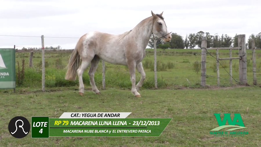 Lote MACARENA LUNA LLENA
