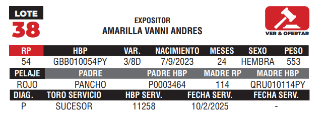 Lote LOTE 38 - CAMPO