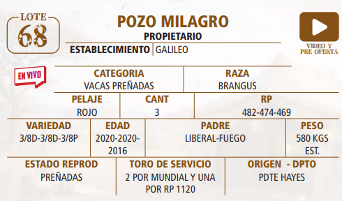 Lote LOTE 68 -EN VIVO