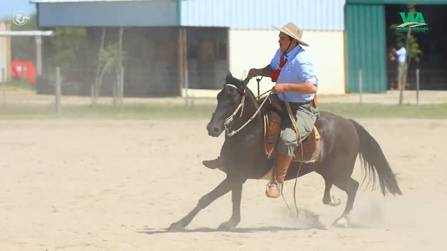Lote LA ROSADA QUE NAVE