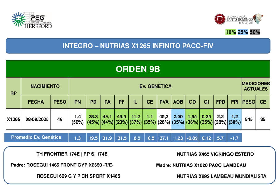 Lote ORDEN 9 TERNEROS PP