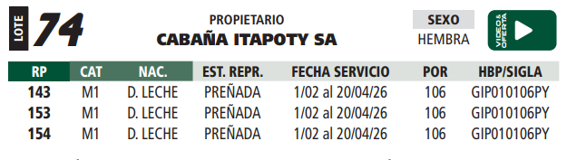 Lote LOTE 74
