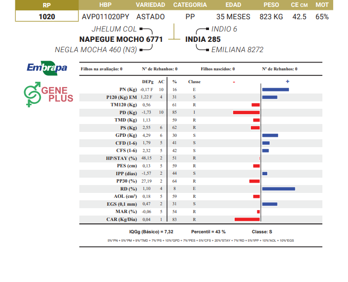 Lote LOTE 5