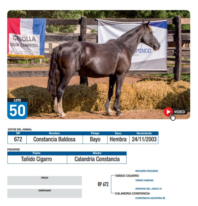 Lote Constancia Baldosa