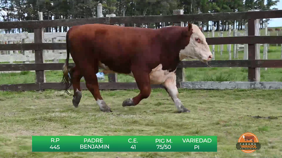 Lote MIRASOL BENJAMIN HOMETOWN