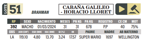 Lote LOTE 51