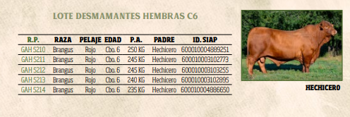 Lote LOTE 30
